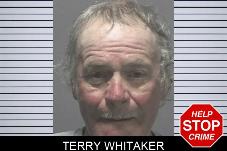 Terry Whitaker