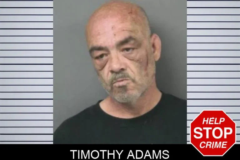Timothy Adams