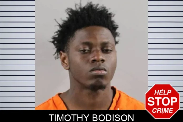 Timothy Bodison