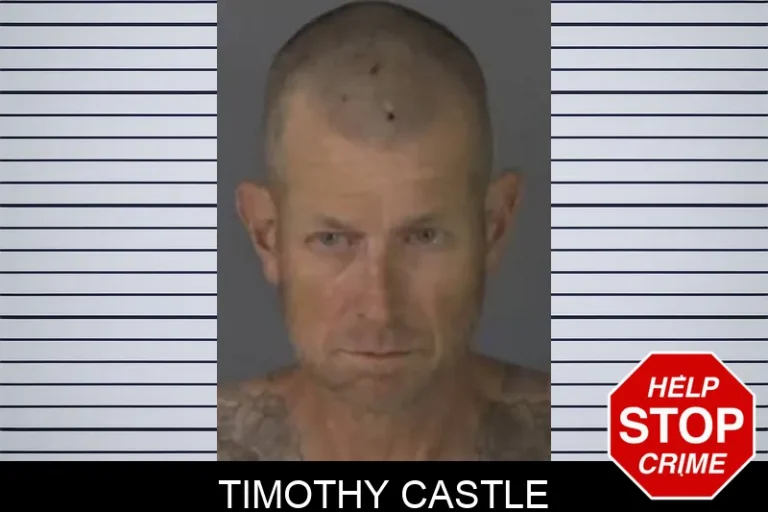 Timothy Castle