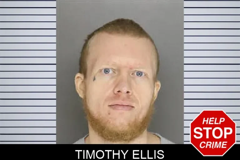 Timothy Ellis