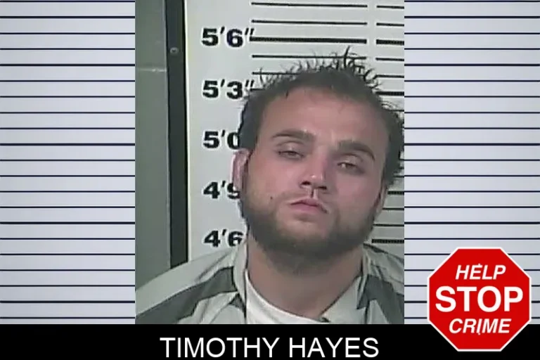 Timothy Hayes