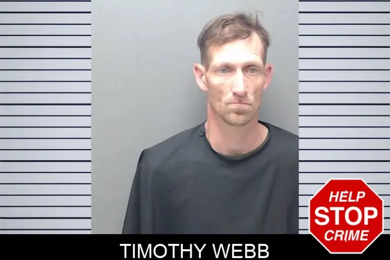 Timothy Webb