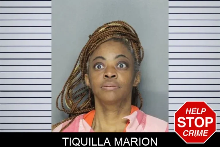 TiquIlla Marion