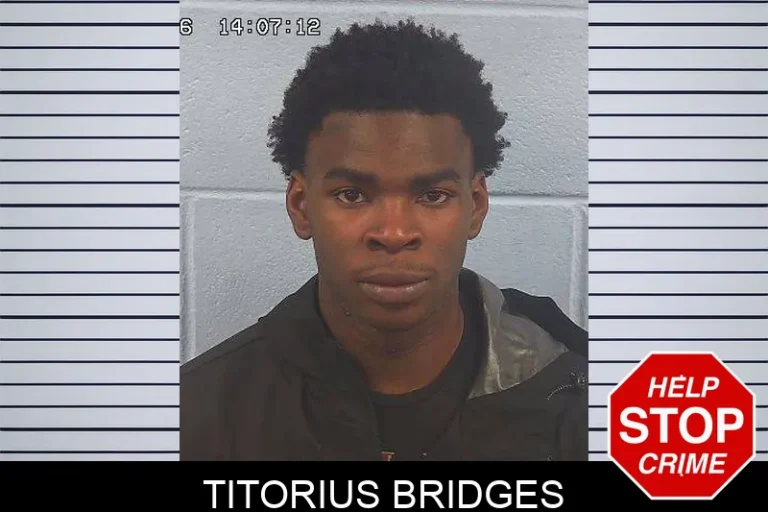 TitoriuS Bridges