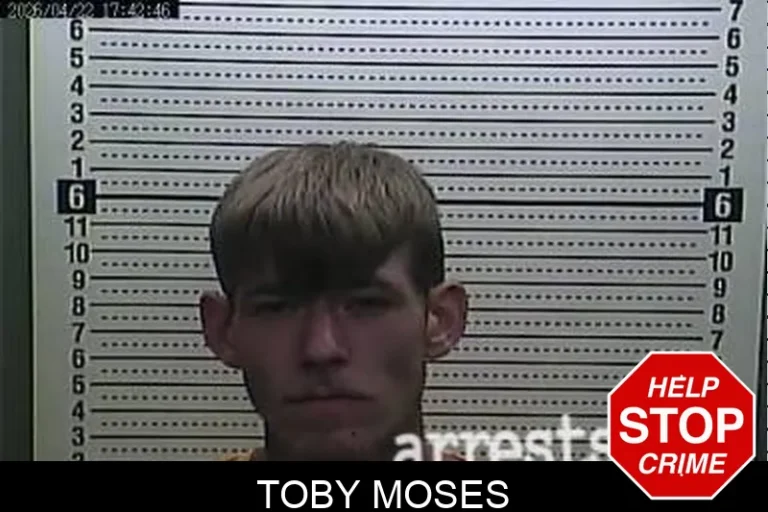 Toby Moses