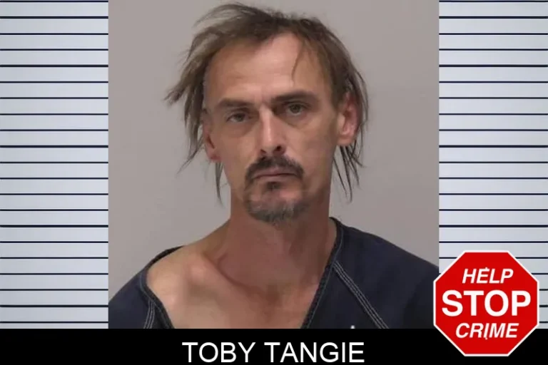 Toby Tangie