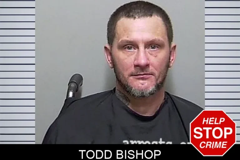 Todd Bishop