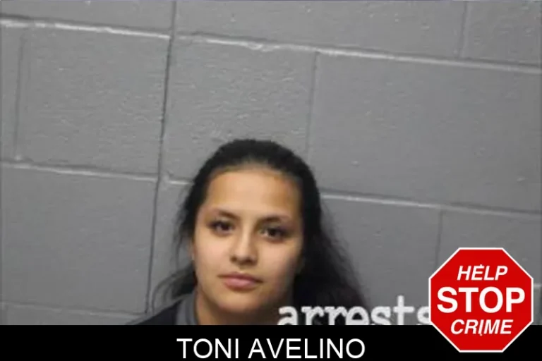 Toni Avelino