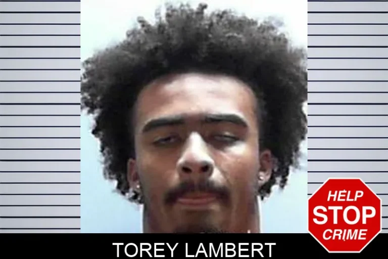 Torey Lambert