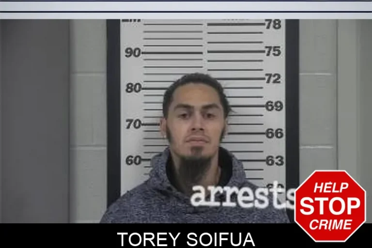 Torey SoifuA