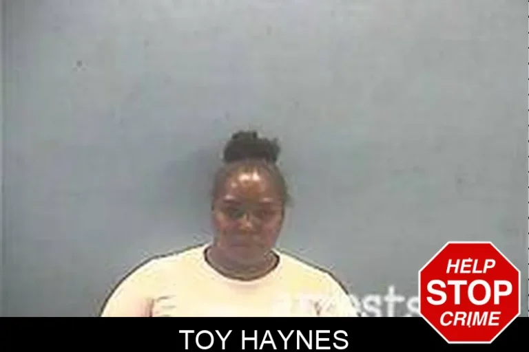 Toy Haynes