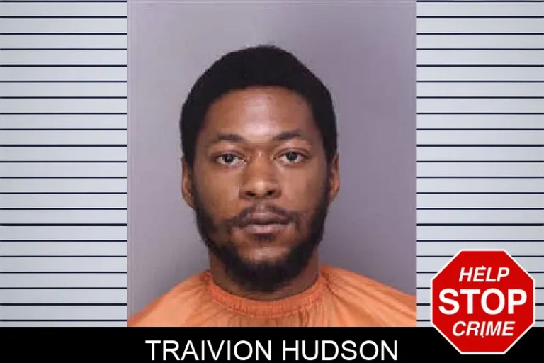 Traivion HuDson