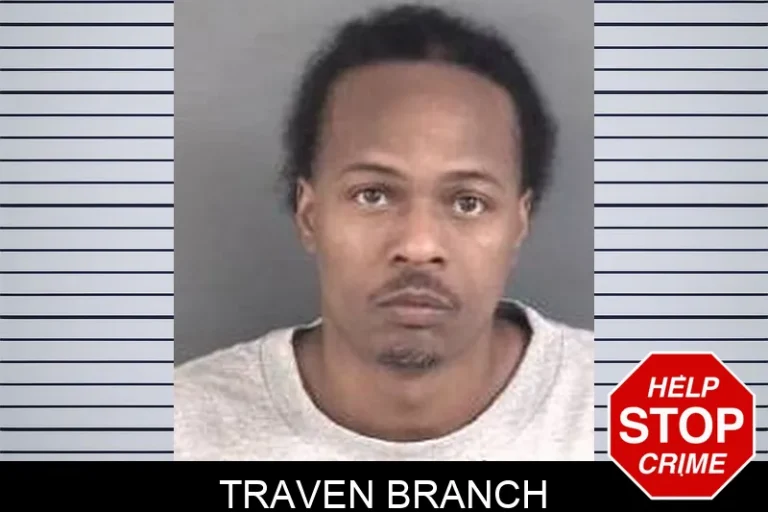 Traven Branch