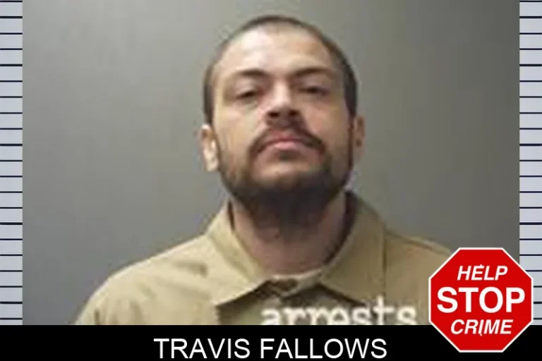 Travis Fallows