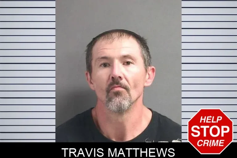 Travis Matthews