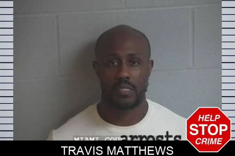 Travis Matthews