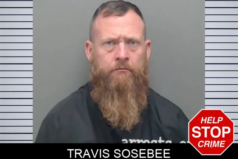 Travis Sosebee