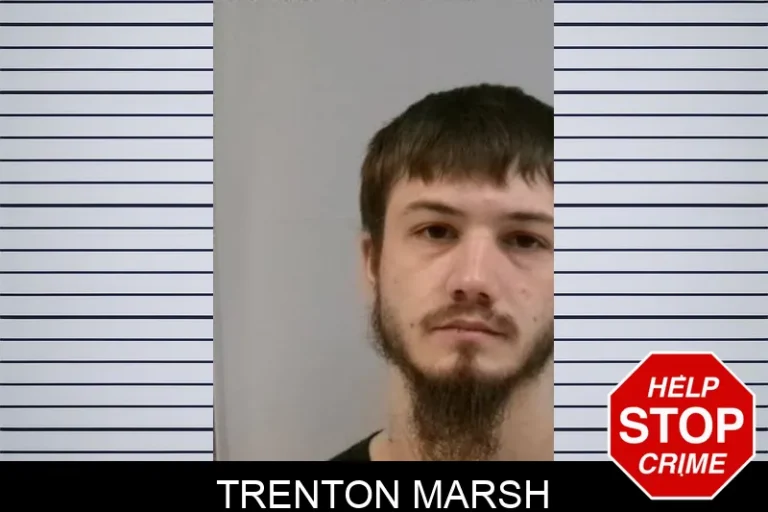 Trenton Marsh