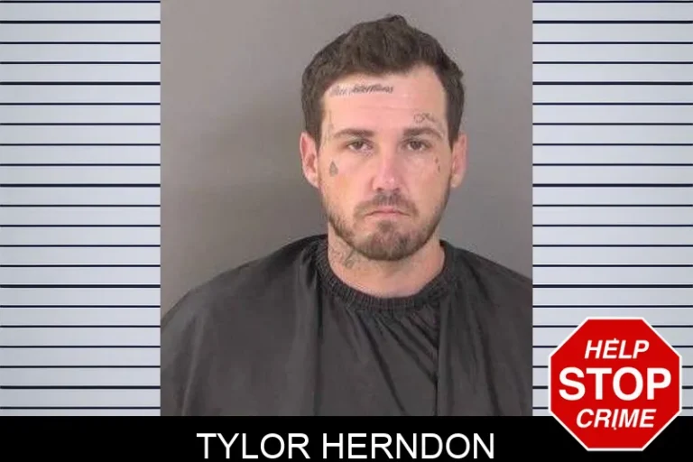 Tylor Herndon
