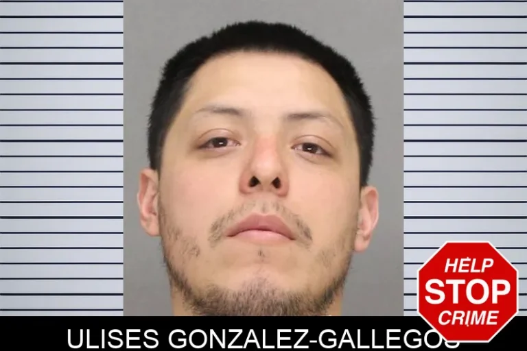 ULises Gonzalez-Gallegos