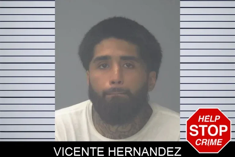 Vicente Hernandez