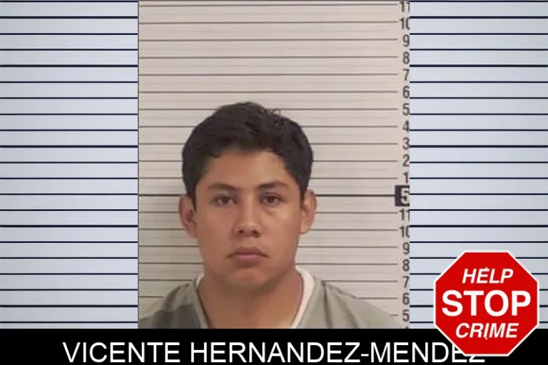 Vicente Hernandez-Mendez