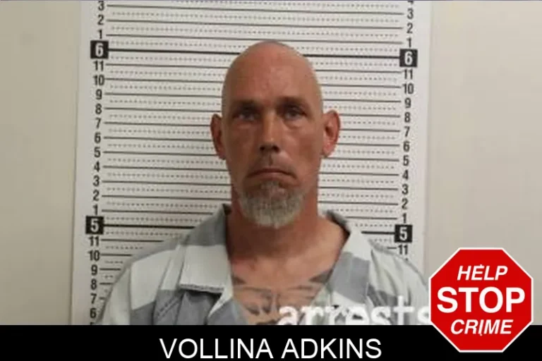 Vollina Adkins