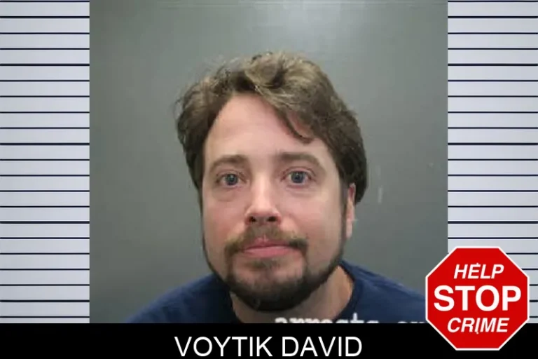 Voytik David