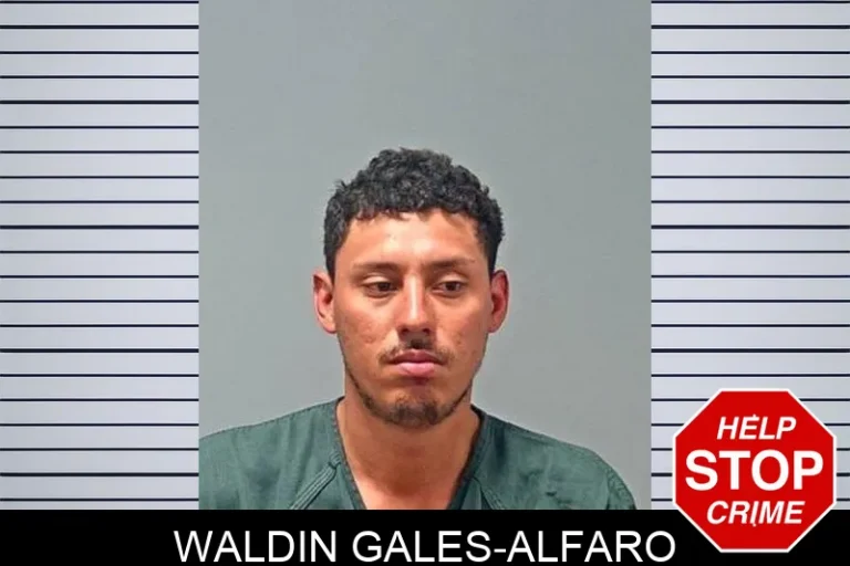 Waldin Gales-Alfaro