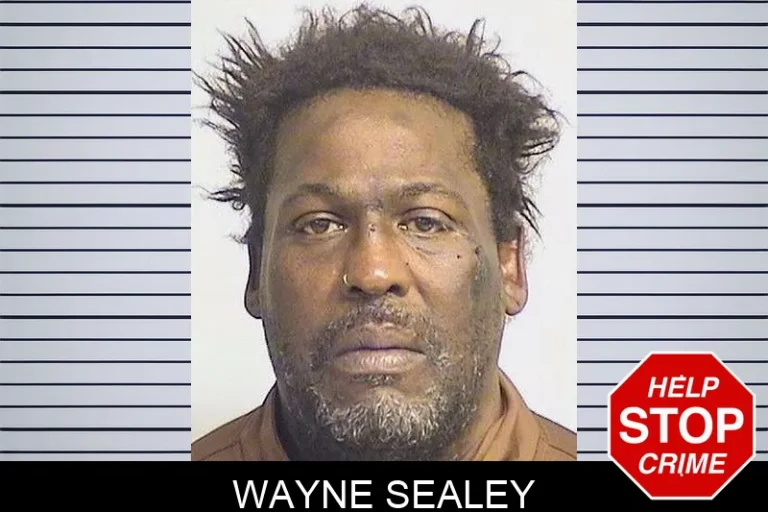 Wayne Sealey