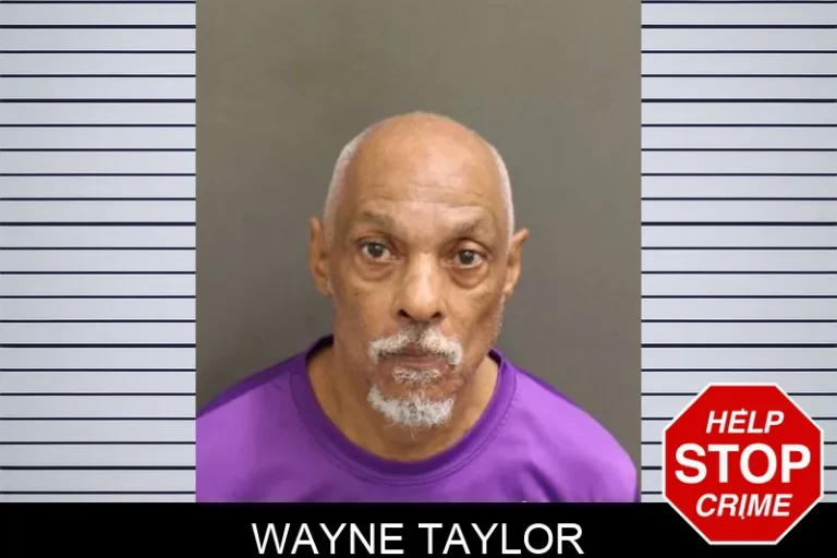 Wayne Taylor