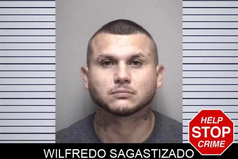Wilfredo Sagastizado