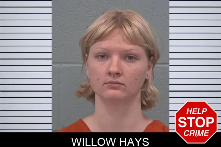 Willow Hays