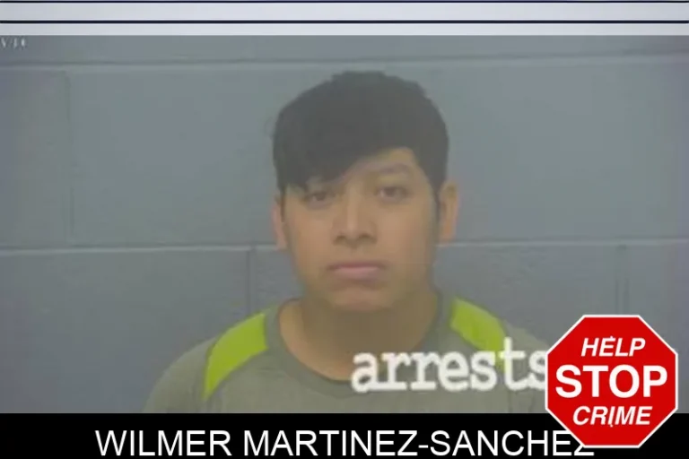 Wilmer Martinez-Sanchez