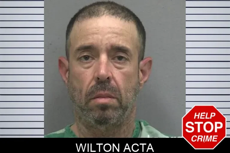 Wilton Acta