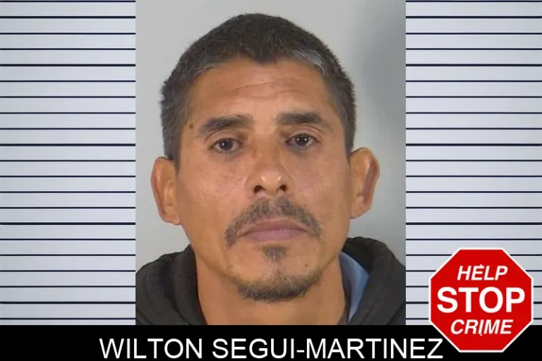 Wilton SeguI-Martinez