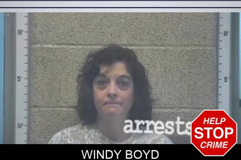 Windy Boyd