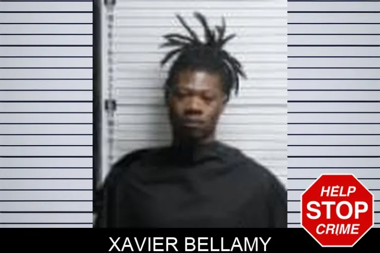 Xavier Bellamy