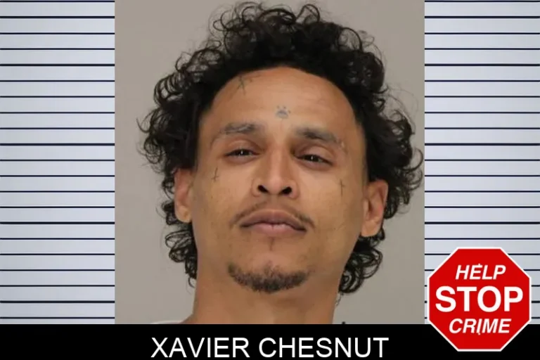 Xavier ChesnuT