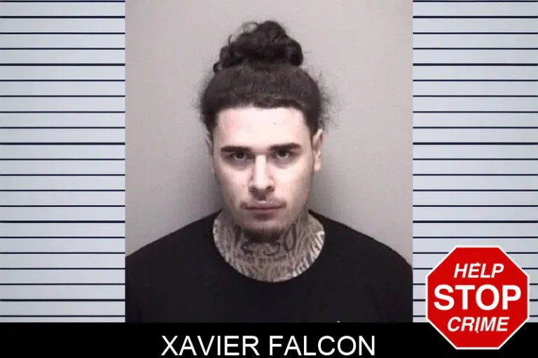 Xavier Falcon