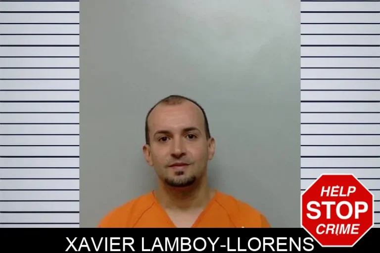 Xavier Lamboy-Llorens