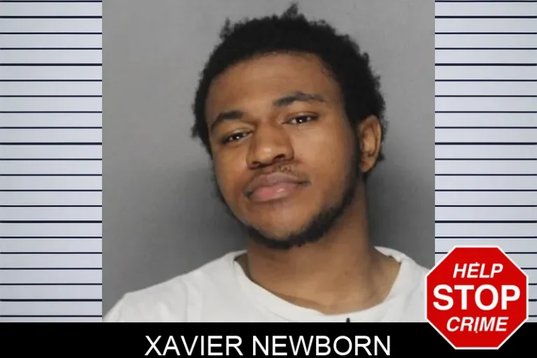 Xavier Newborn