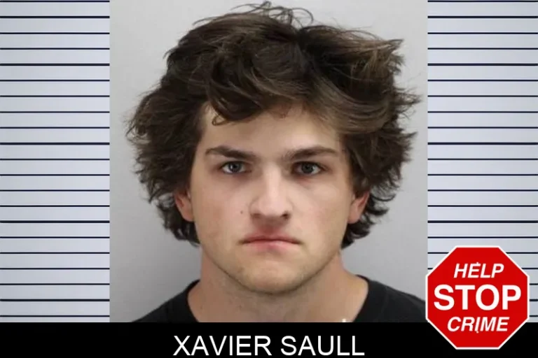 Xavier Saull