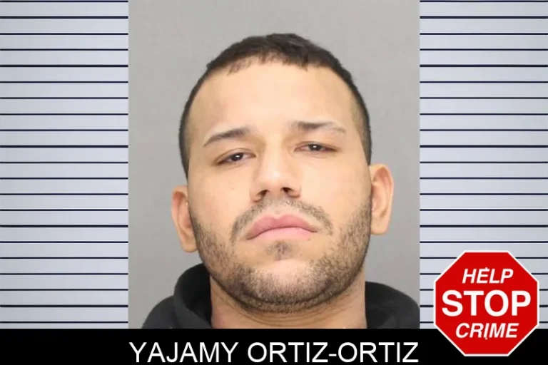 Yajamy Ortiz-Ortiz
