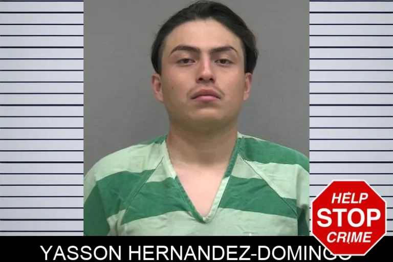 Yasson Hernandez-Domingo