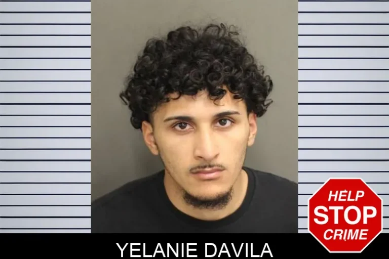 Yelanie Davila