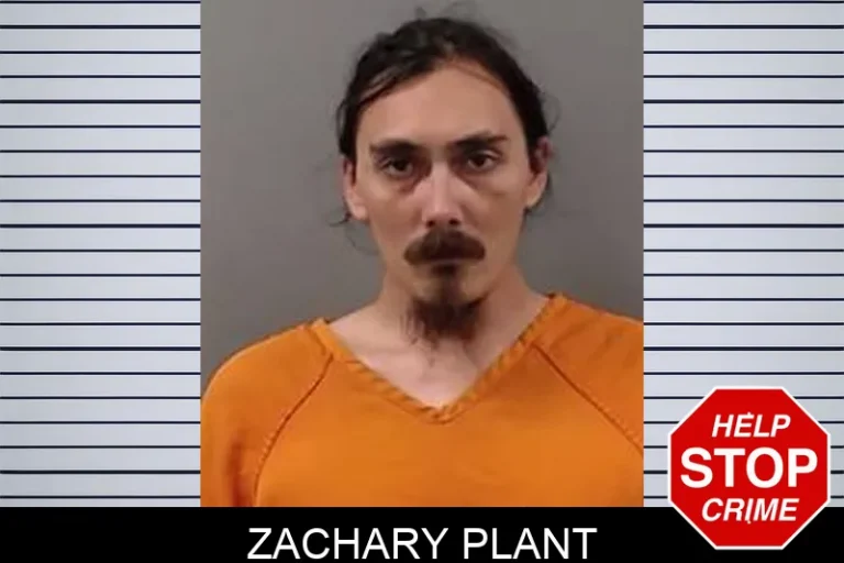 Zachary Plant