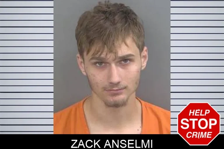 Zack Anselmi