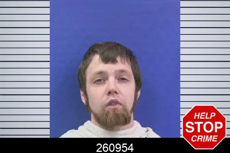 260954